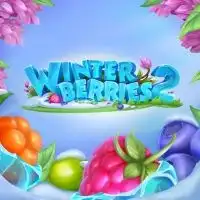 10378_Winterberries_2